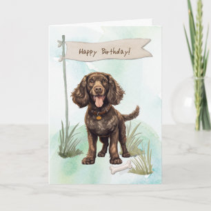 Cartão American Water Spaniel Dog Sob Sinal De Aniversári