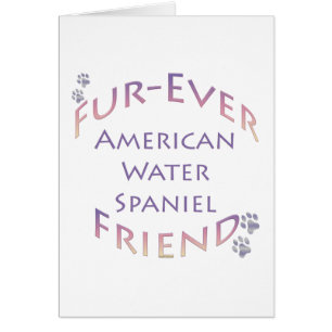 Cartão American Water Spaniel Fuore