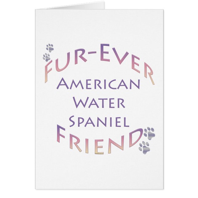 Cartão American Water Spaniel Fuore (Frente)