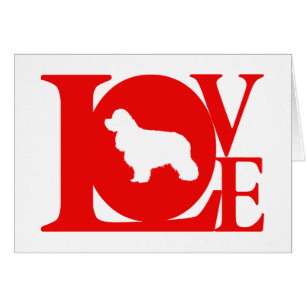 Cartão Americano cocker spaniel