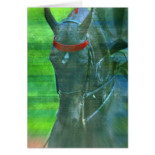Cartão Americano Saddlebred