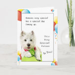 Cartão Amigo especial do feliz aniversario com um Westie<br><div class="desc">É tão maravilhoso ter um melhor amigo. Comemore seu aniversário dando lhes um cartão especial em seu dia especial. Na parte dianteira deste cartão é Oliver, as montanhas ocidentais brancas Terrier que coloca no travesseiros verdes. Para dar-lhe um sentimento do aniversário eu incluí os balões amarelos, vermelhos e azuis do...</div>