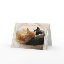 AMIGO ESPECIAL FELIZ ANIVERSÁRIO