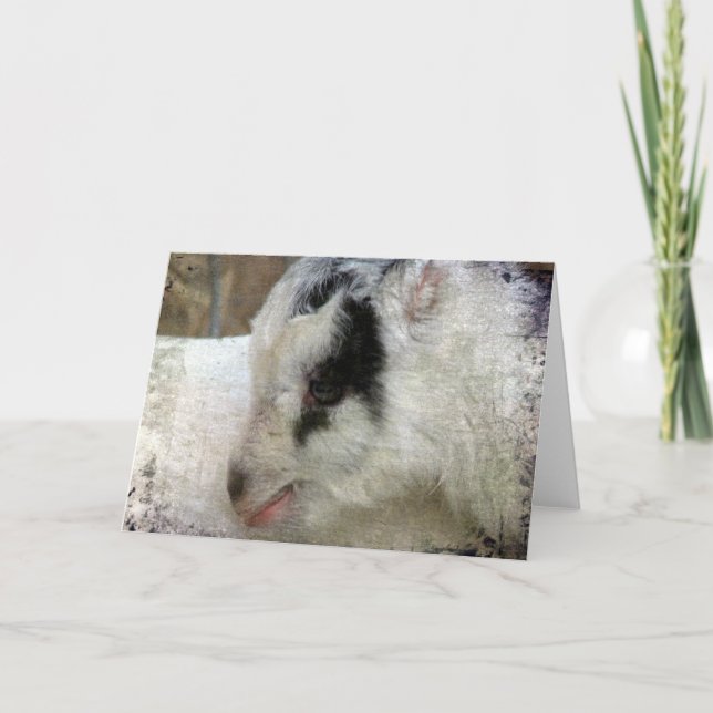 Cartão Amigo, o Capato (Frente)