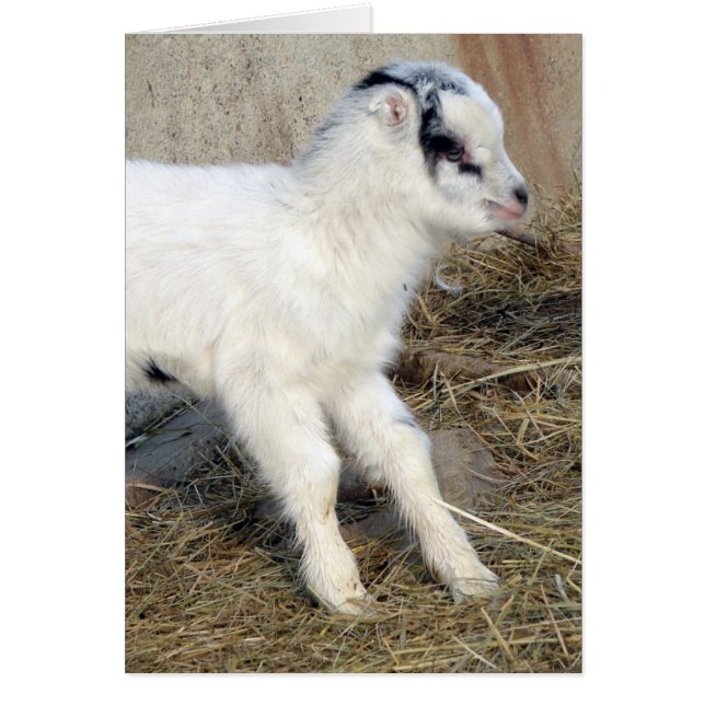 Cartão Amigo, o Kid La Mancha (Frente)