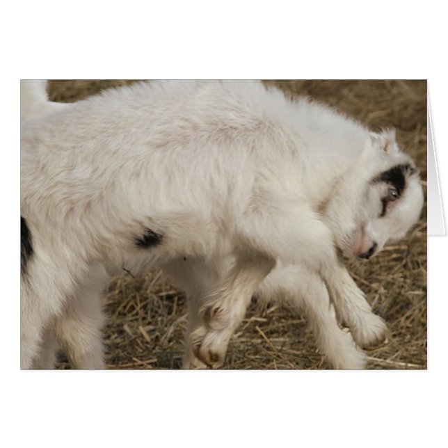 Cartão Amigo Plays (Frente Horizontal)