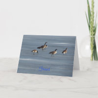 Amigo, Reduza o Painel de Memória, Gansos