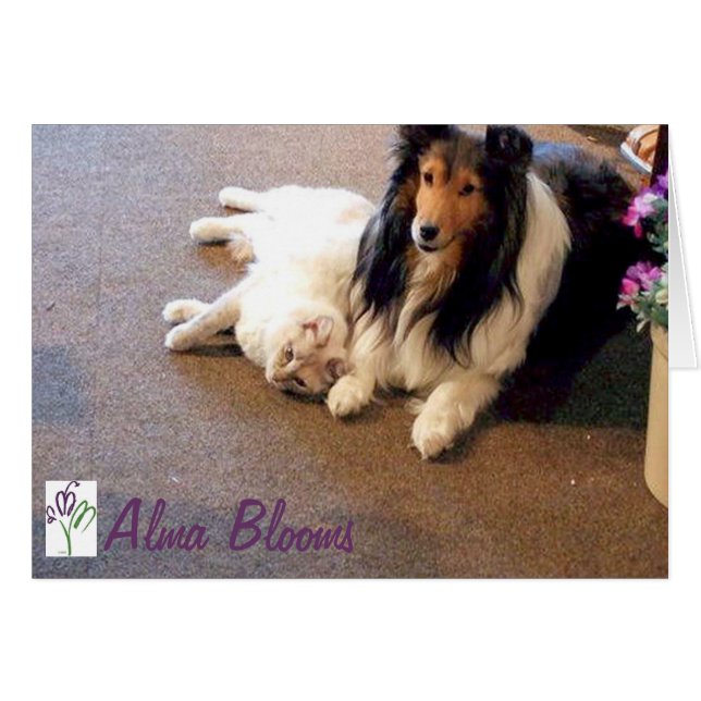 Cartão Amigos (Frente Horizontal)