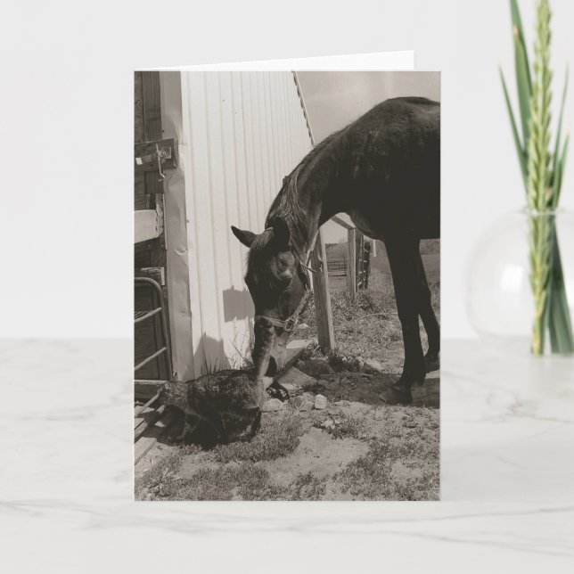 Cartão Amigos (Frente)