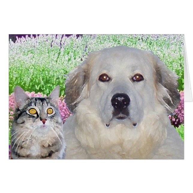 Cartão Amigos (Frente Horizontal)