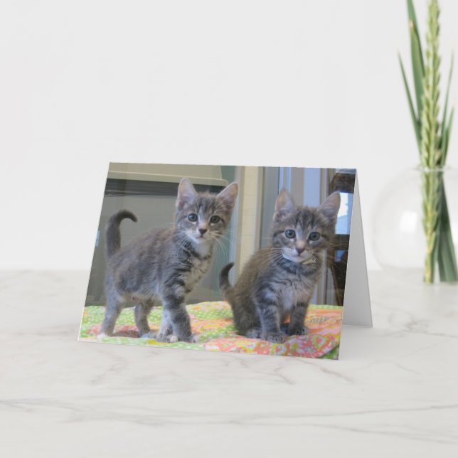 Cartão Amigos 099 (Frente)