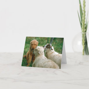 Cartão Amigos antigos