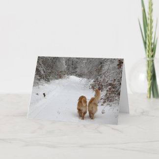 Cartão Amigos da neve