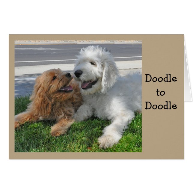 Cartão Amigos de Goldendoodle (Frente Horizontal)