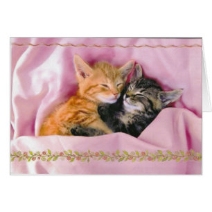 Cartão Amigos de sono; Tuckered para fora