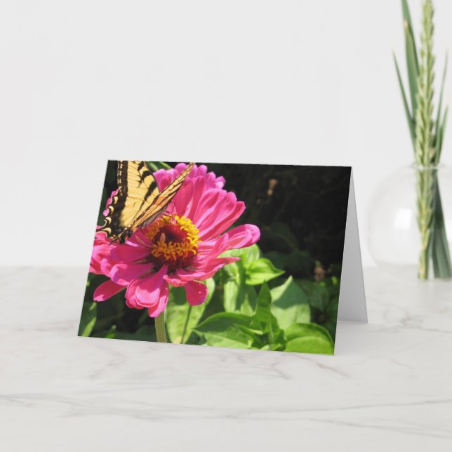 Cartão Amigos de Verão 2 (Frente)