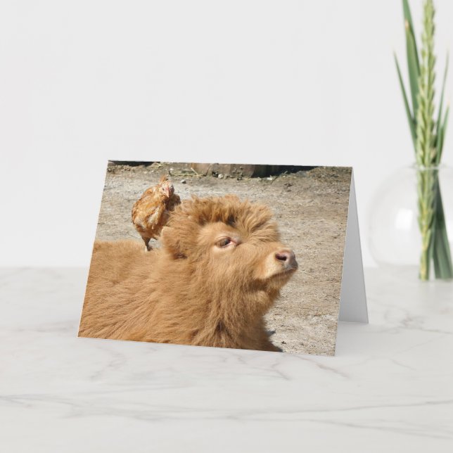 Cartão Amigos do Barnyard (Frente)