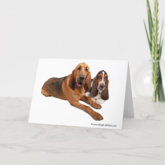 Cartão Amigos do Basset e do Bloodhound