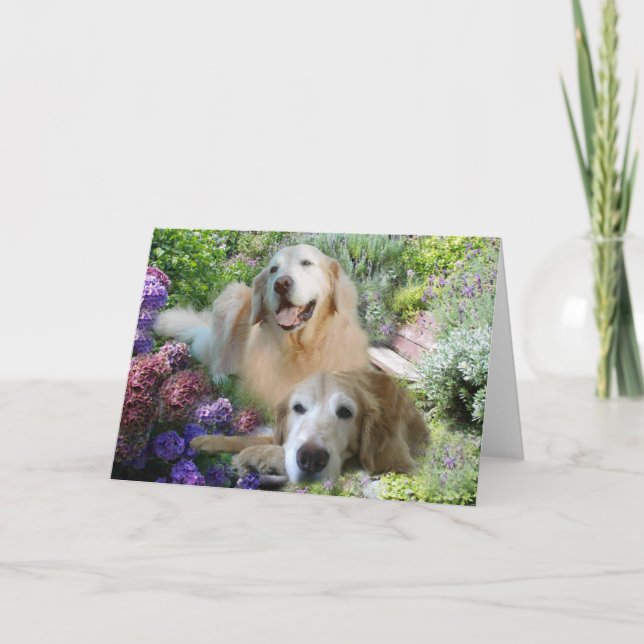 Cartão Amigos do Golden Retriever (Frente)