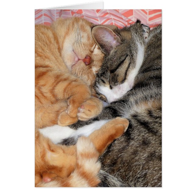 Cartão Amigos do Nap (Frente)