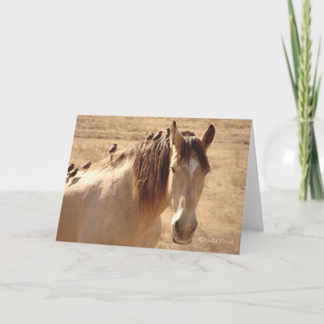 Cartão Amigos ©Linda Scott (Frente)