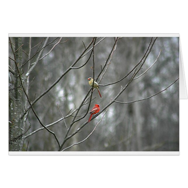 Cartão Amigos para a vida (Frente Horizontal)