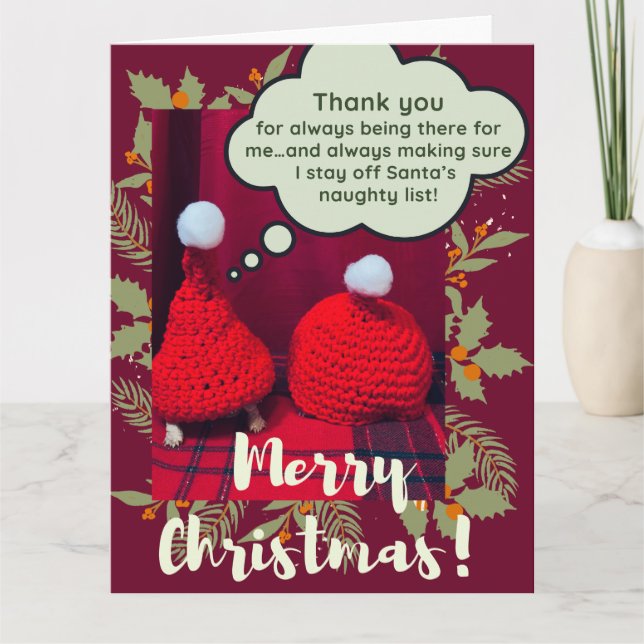 Cartão Amigos Tartaruga Sulcata Bebê Natal Divertido (Frente)