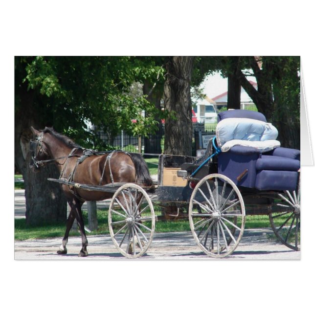 Cartão Amish Recliner All Occassion Greeting Card (Frente Horizontal)