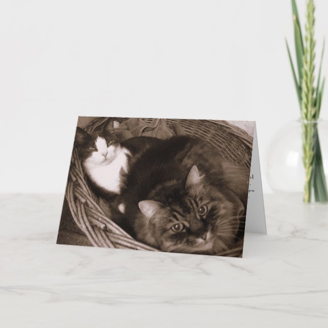 Cartão Amizade (Frente)