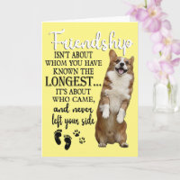 Amizade Corgi Não É Sobre Quem Você Conhece T