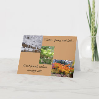 Cartão Amizade em todas as estações