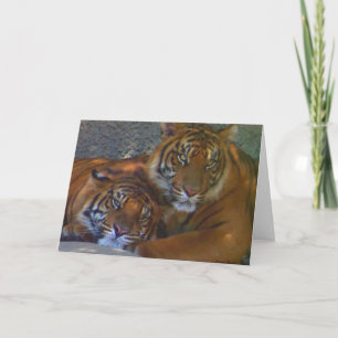 Cartão Amizade/Qualquer Occasion_ Card