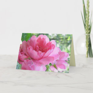 Cartão Amizade Rosa Rosa Mole