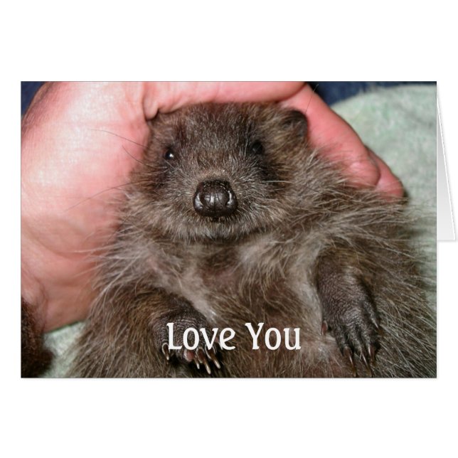 Cartão Amo-Te (Frente Horizontal)