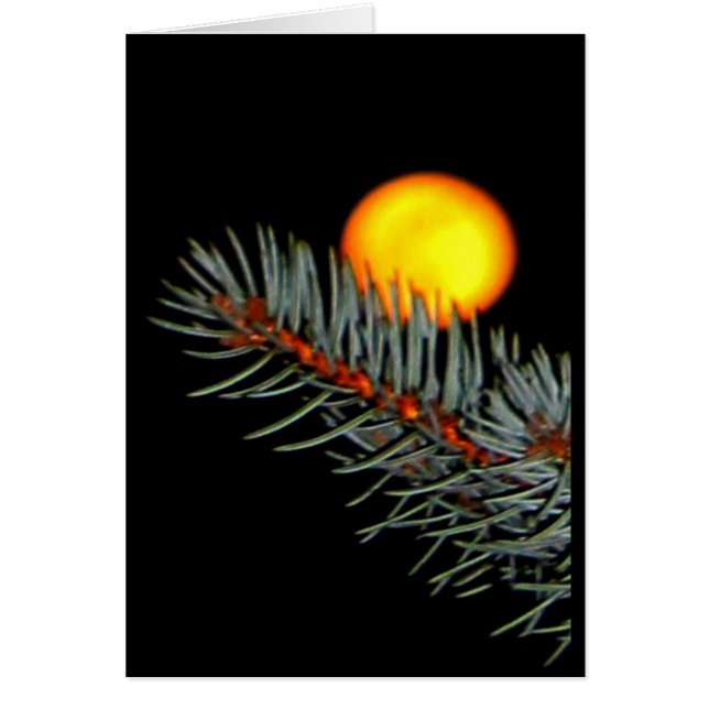 Cartão Amo-Te À Lua E Volta! (Frente)