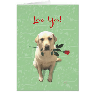 Cartão Amo-Te, Cachorro Retriever com Rosa, Adorável