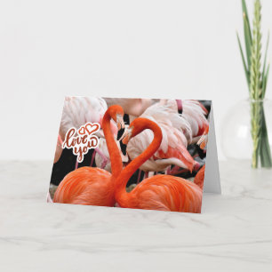 Cartão Amo Você Dois Lindos Pássaros Flamingo