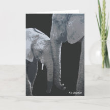 Amo Você Mais, Arte Original de Elefante