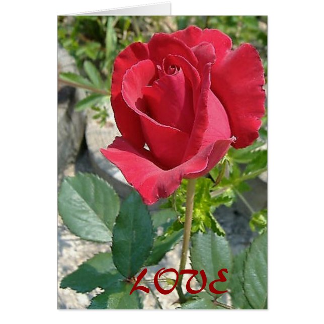 CARTÃO AMOR (Frente)