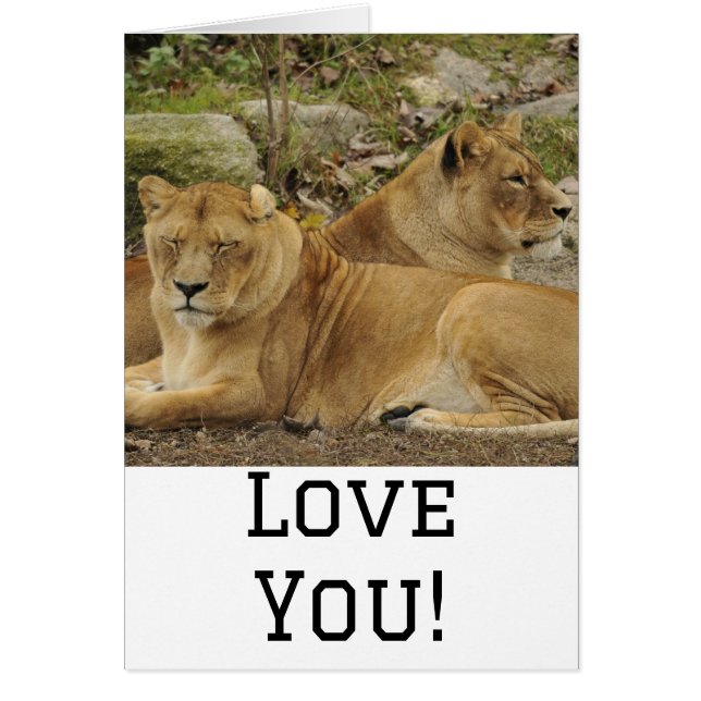 Cartão Amor (Frente)