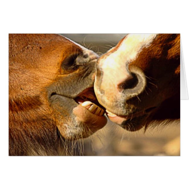 Cartão Amor animal (Frente Horizontal)