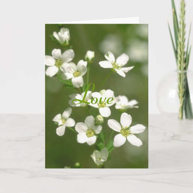 Cartão Amor das flores (Frente)