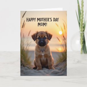 Cartão Amor de Cachorrinho da Hora Dourada