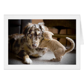 Cartão Amor de Cão e Gato #1