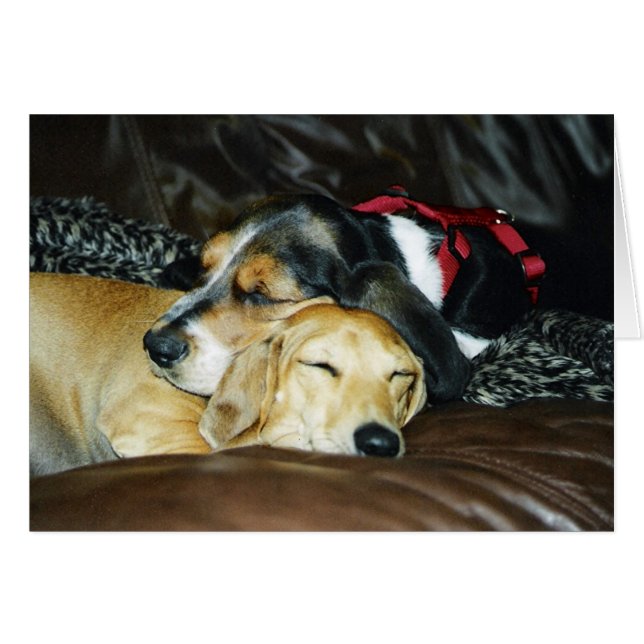 Cartão Amor de filhote de cachorro (Frente Horizontal)