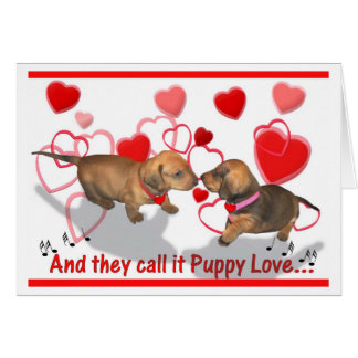 Cartão Amor de filhote de cachorro do Dachshund