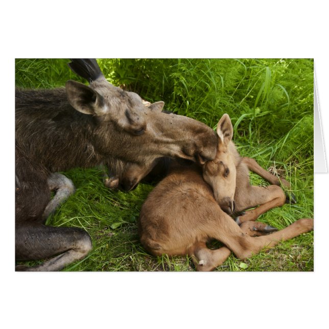 Cartão Amor de Mãe (Frente Horizontal)