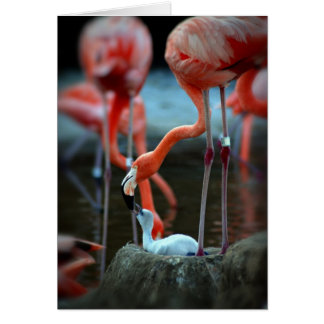 Cartão Amor de Mãe