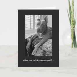 Cartão Amor de Pitbull McLovin