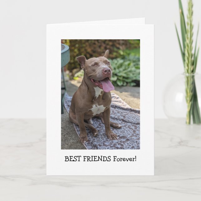 Cartão Amor de Pitbull Pensando em Você (Frente)
